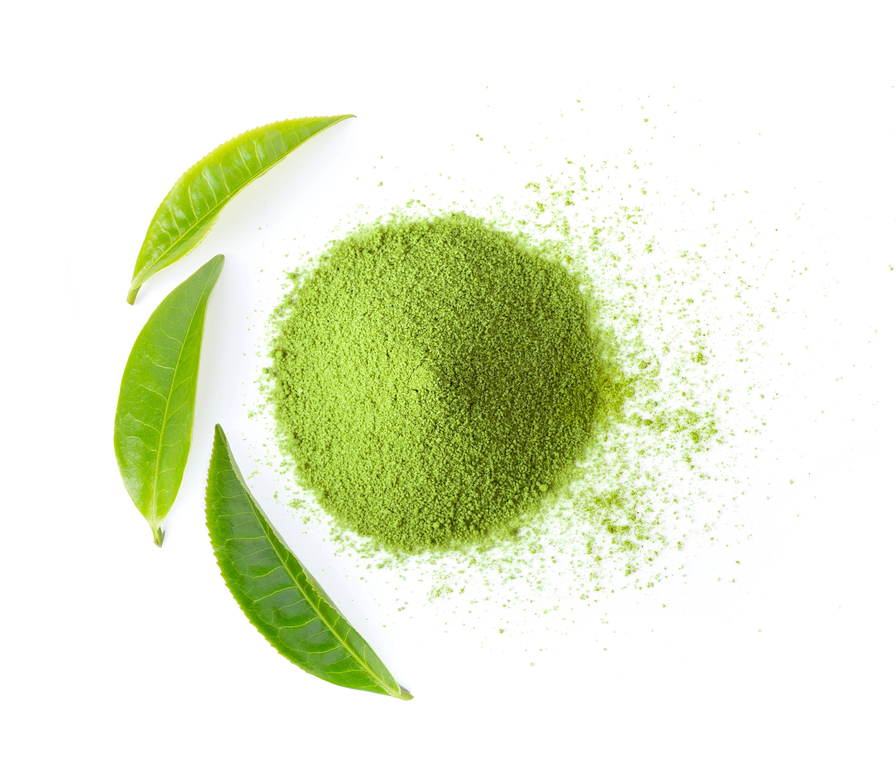 Matcha Hisui - Ranieri tea time