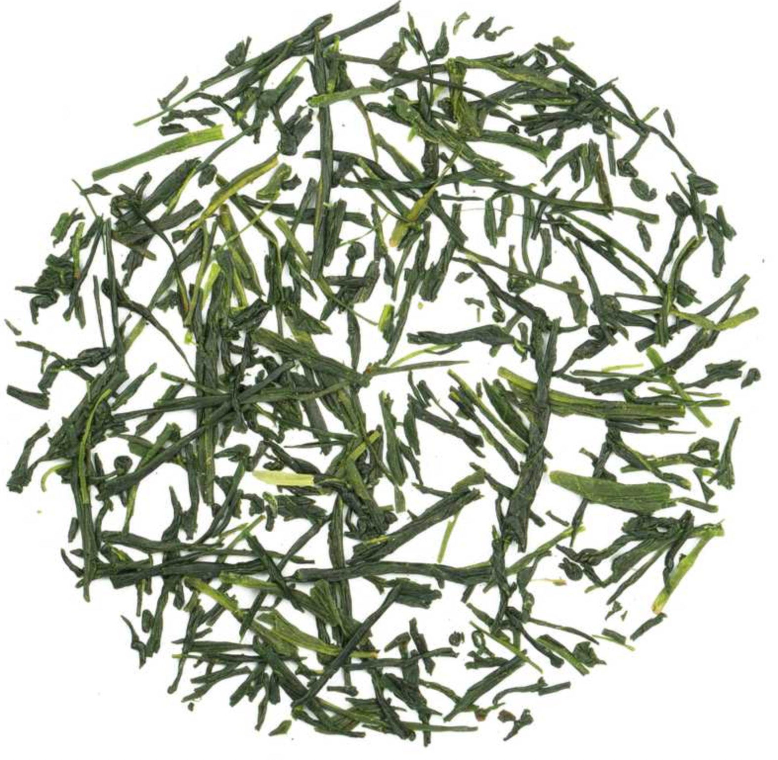 Gyokuro Kusanagi - Ranieri tea time
