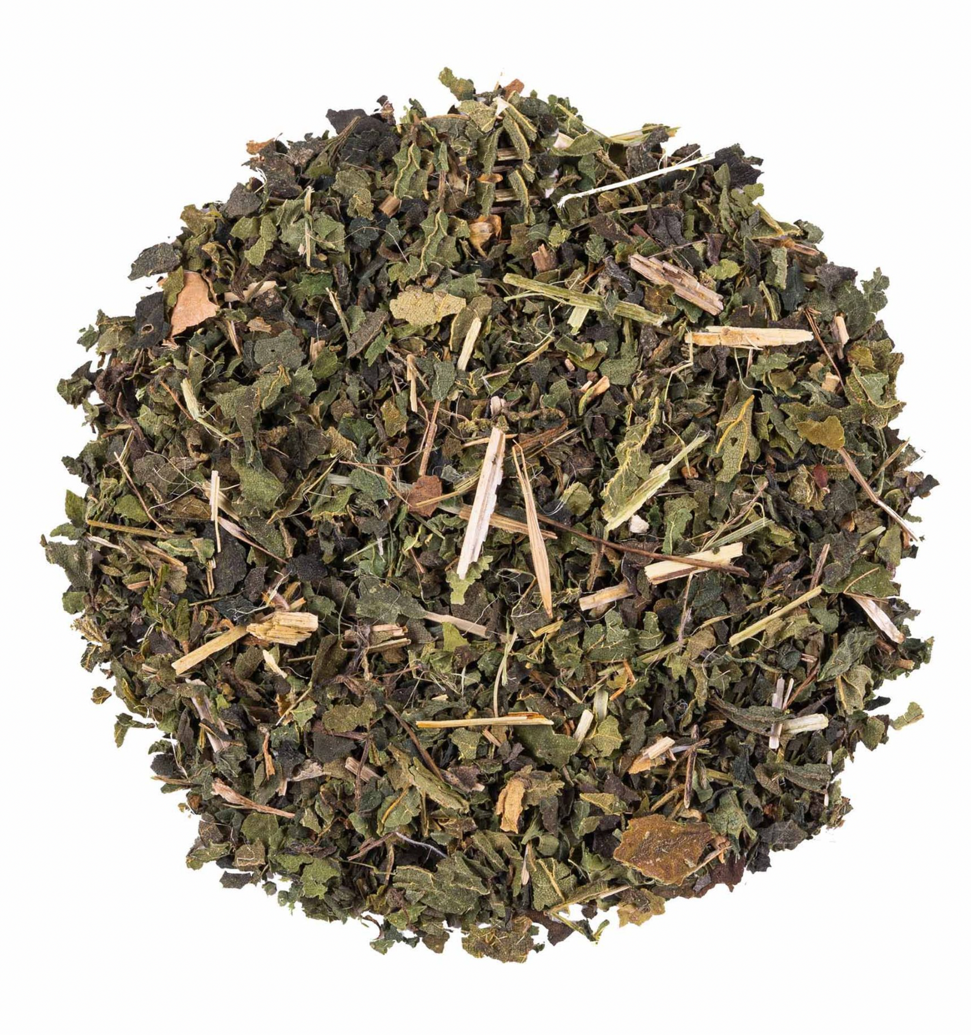 Feuille d'ortie